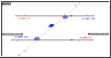 parallel lines